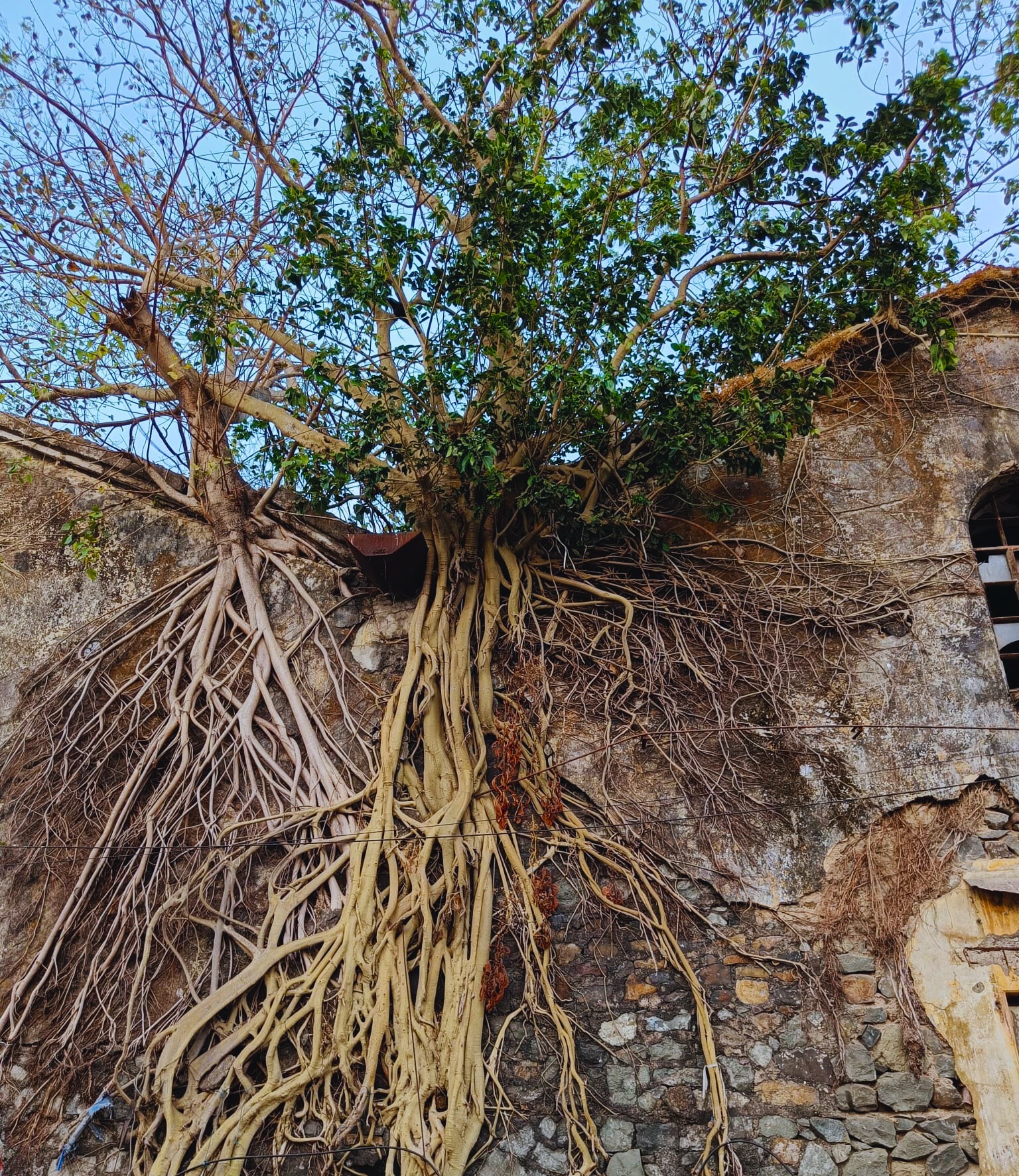 Doing Hope in the&nbsp;Ruins